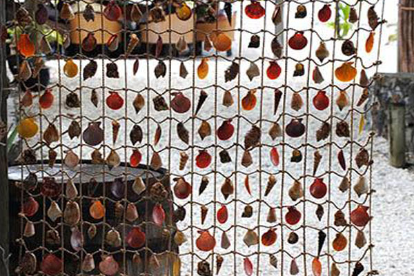 La Case du Pecheur Restaurant deco - Sea shell wall hand craft